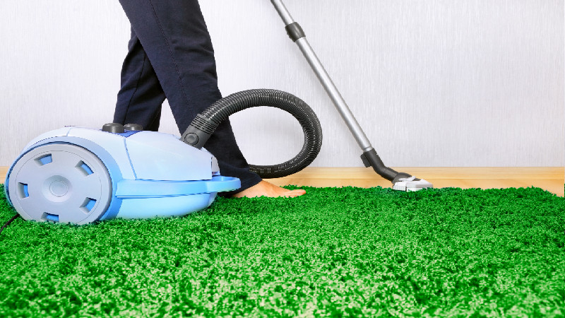 Finding Carpet Cleaning Services in St Paul MN