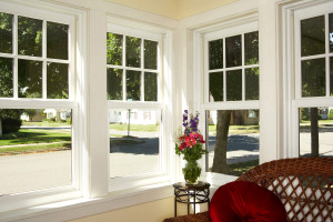 Hurricane Glass Windows in Bradenton, FL: The Smart Choice For Home Protection And Energy Savings