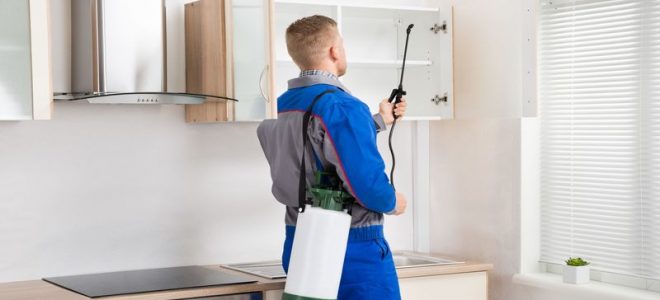 Benefits of Pest Control in Columbia MD