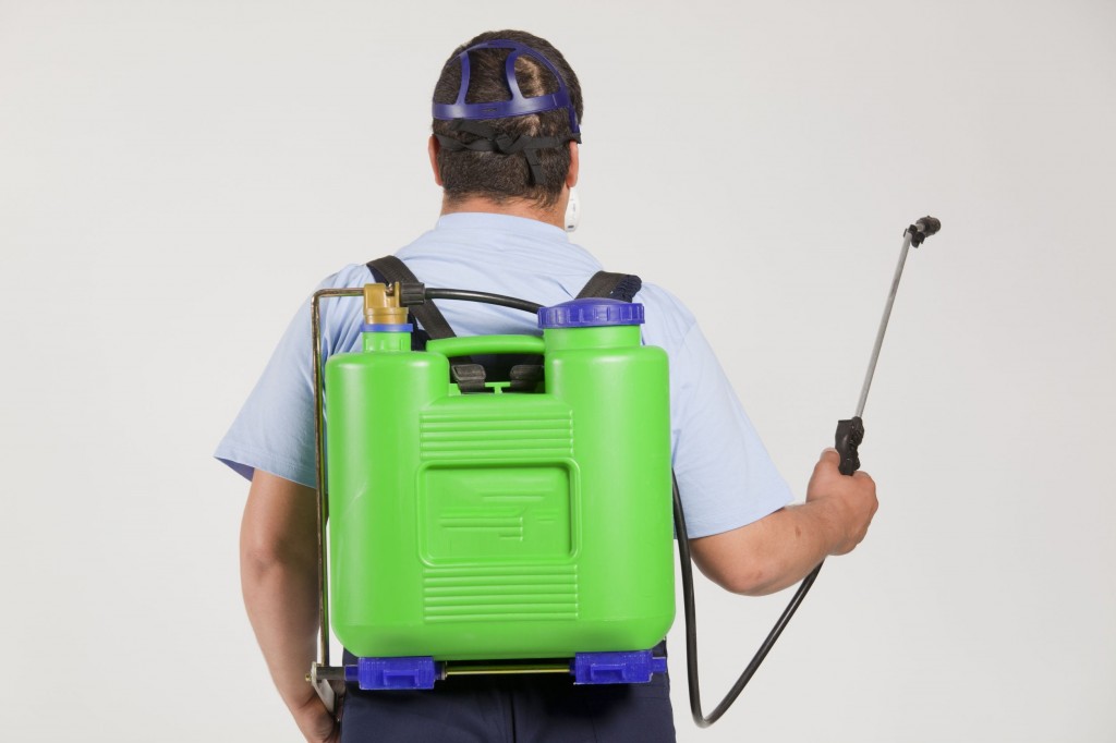 Protect Your Property with Professional Pest Control Services in Wesley Chapel, FL