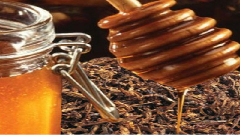 Electronic Cigarettes Are Not Just a Fad