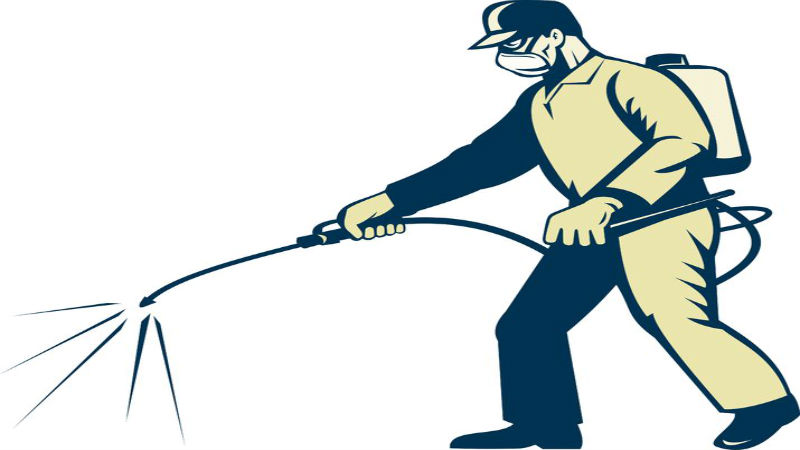 Rely On Expert Pest Control Services To Eliminate Pests From Your Home