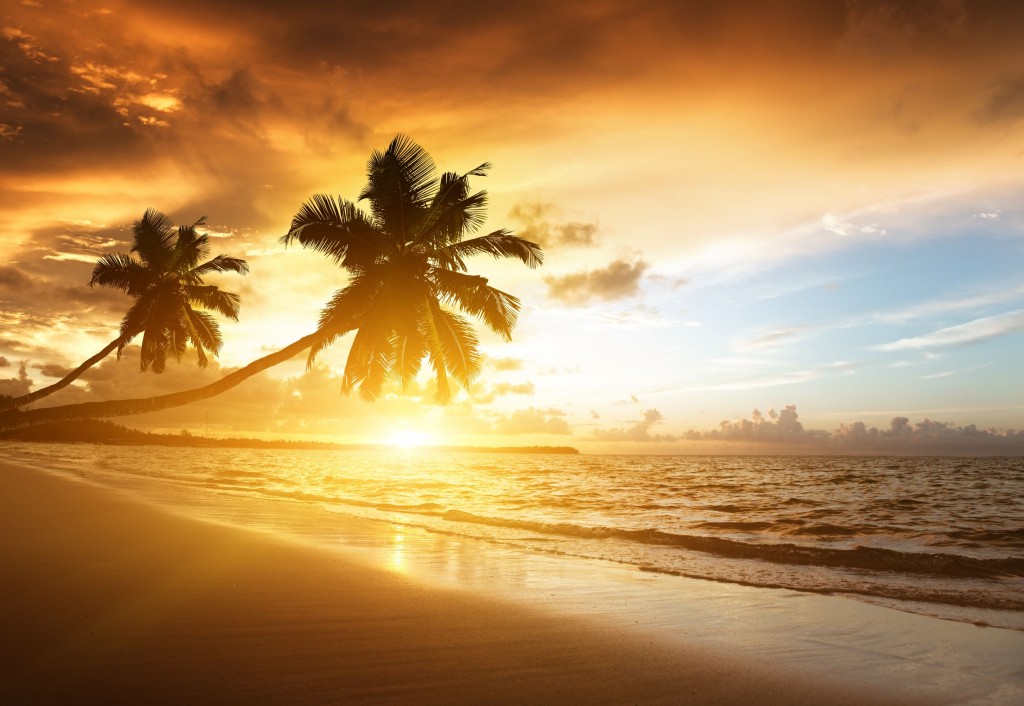 Have An Exhilarating Time With A Myrtle Beach Vacation Rental