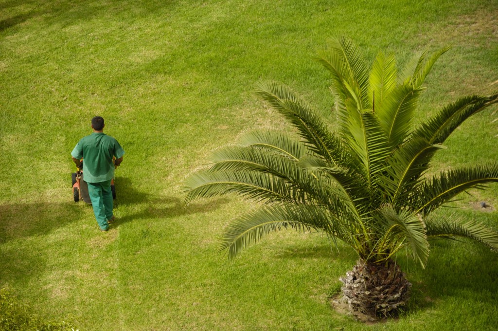 Keep Your Yard Looking Great With Landscape Maintenance in Spokane