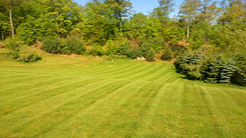 What Services are Involved in Property Maintenance in Norwalk CT?