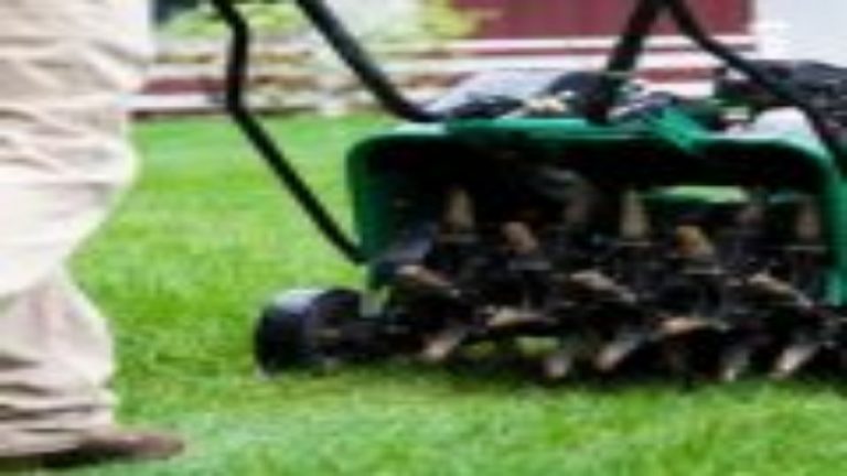 Improve Your Lawn’s Health and Curb Appeal with Lawn Aeration in Huntsville, AL