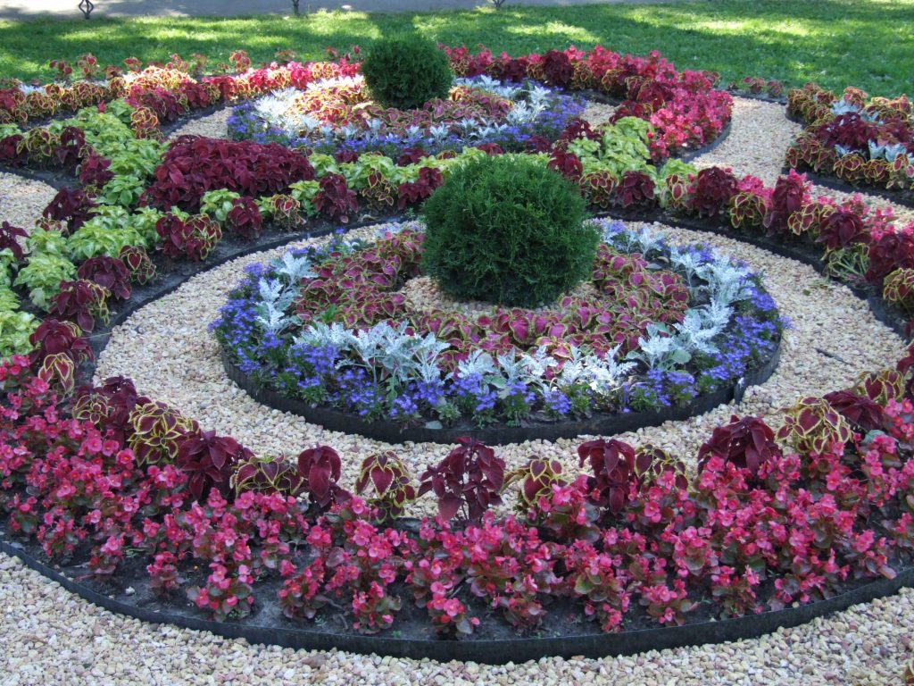 Choosing the Right Company for Your Backyard Landscaping in Yorba Linda CA Ensures You Will Be Happy with the Results