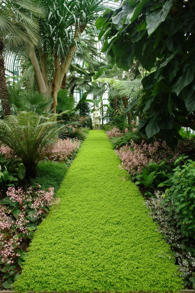 What Are Your Goals for Resort Landscaping in Kihei?