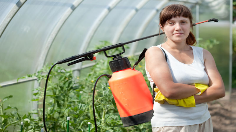 Manage Your Lawn with Weed Control Services in Boynton Beach, Florida