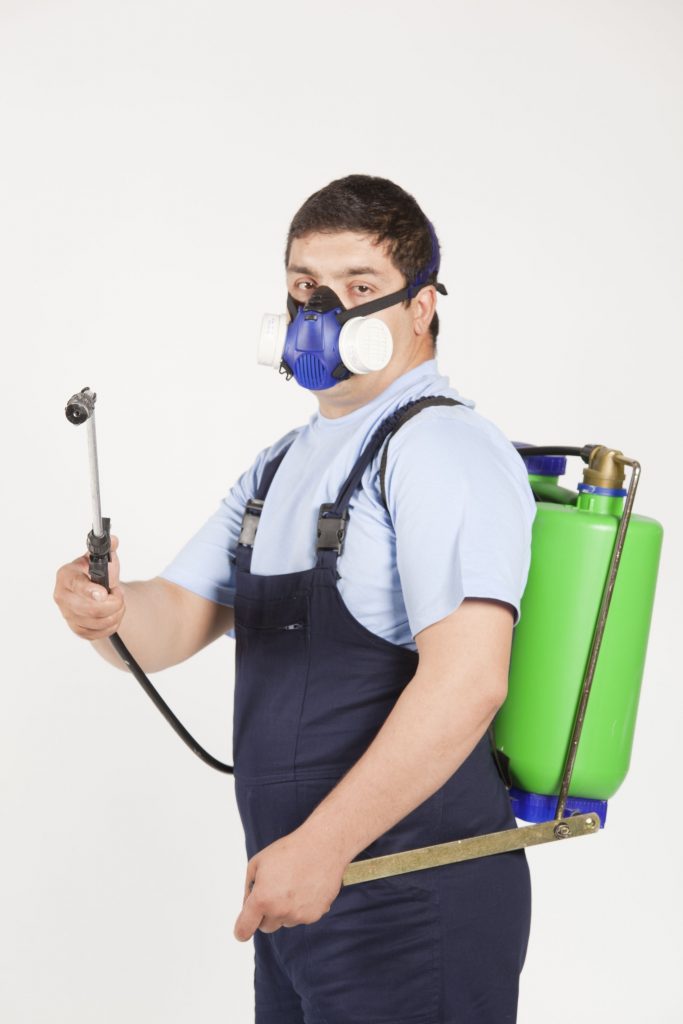 Keeping Those Pests Away With A Pest Exterminator in Baltimore, MD