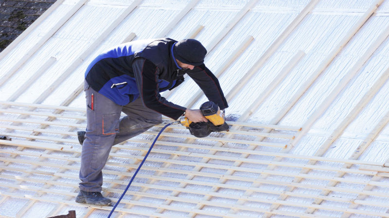 Tips for Maintaining Your Asphalt Shingles