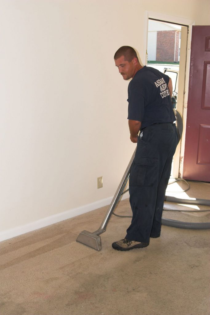 Smart Reasons for Professional Carpet Cleaning in Los Angeles