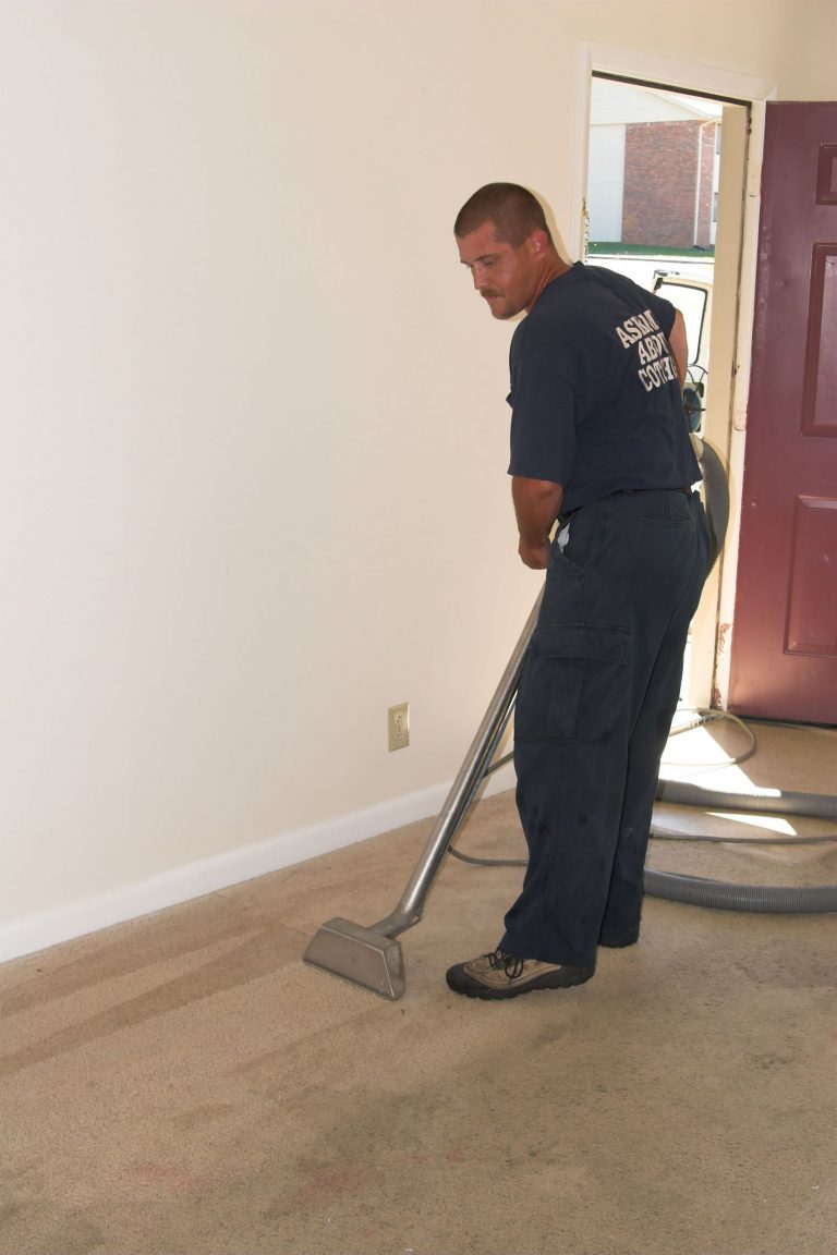 Smart Reasons for Professional Carpet Cleaning in Los Angeles