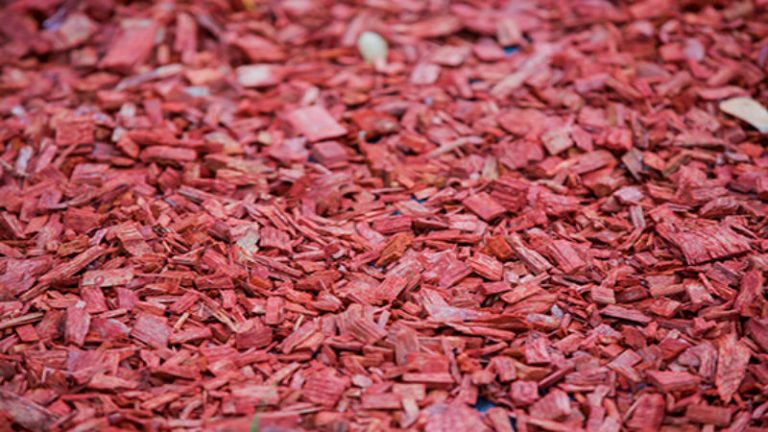 Uses For Mulch in Hillsboro OR