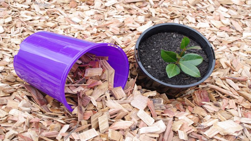 Concrete Dumpster Rental in Camden County for Tearing Down an Old, Obsolete House