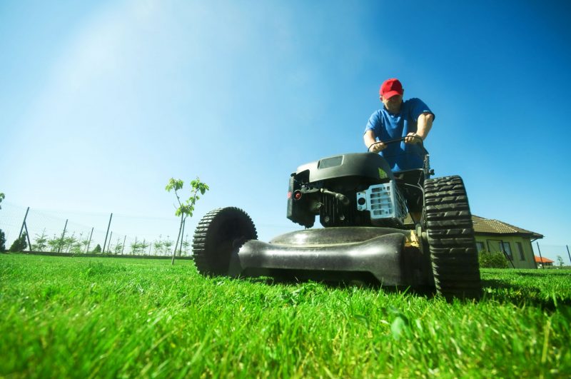 Lawn Problems That Aeration Services Charlotte NC Can Effectively Solve for Homeowners