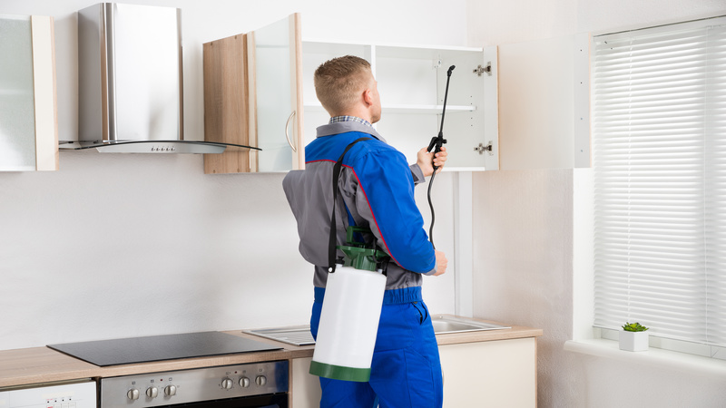 Three Reasons Why Business Owners Need Commercial Pest Control In Jackson, NJ