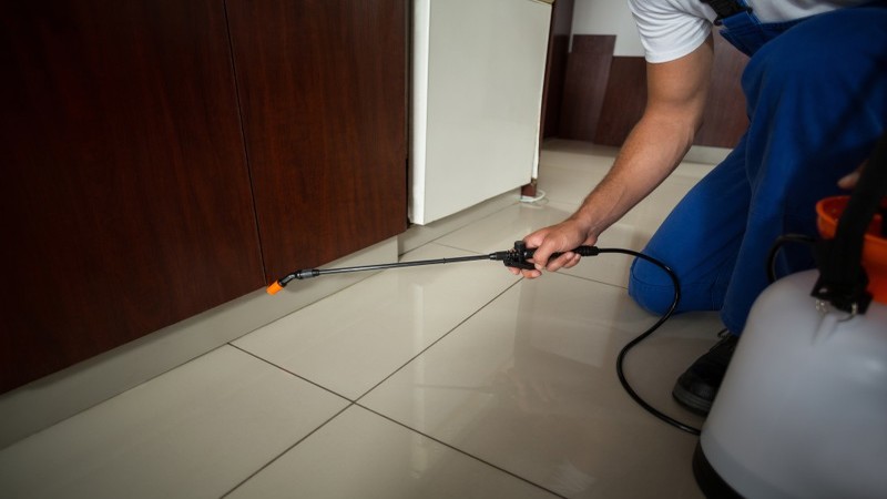 Effective Pest Control Company in Rochester, NY: Keeping Your Home Safe