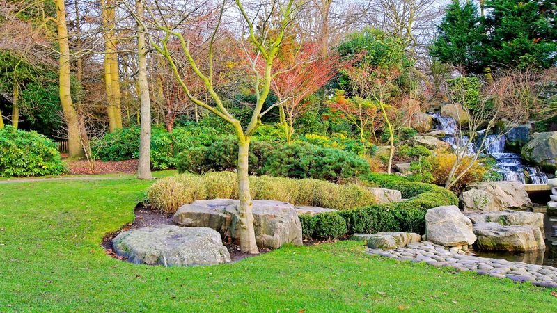 Reasons To Hire A Professional For Newport Coast, CA Landscaping Services