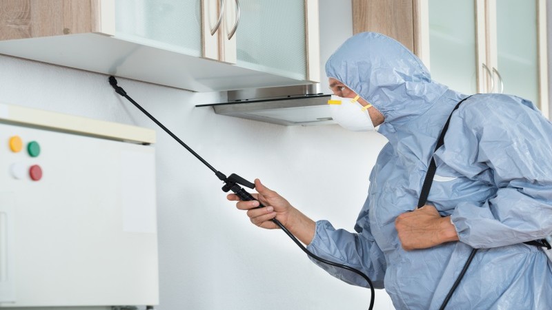 Tips For Commercial Pest Control