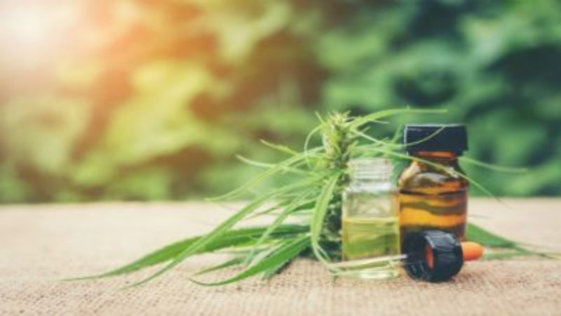 Choosing the Right Medical Cannabis Dispensary, Find One in Spokane, WA
