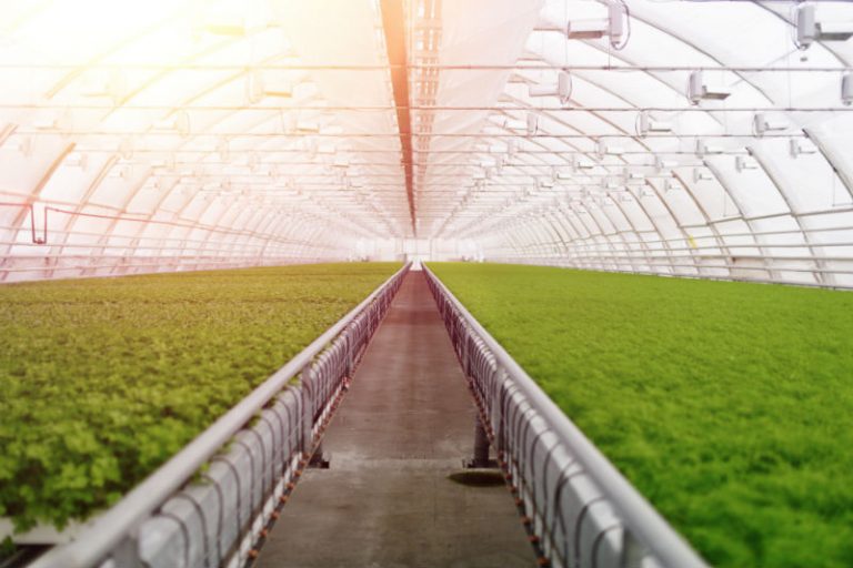 3 Ways a Provider of Farm Management Software Will Benefit Your Operation