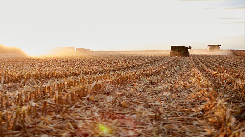 Vernon County, WI, Farmers and Homeowners Can Benefit from Soil Testing