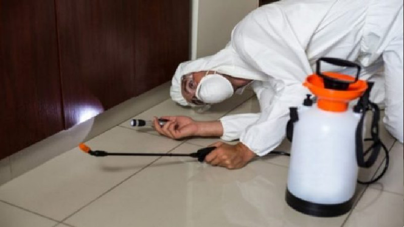 FINDING THE BEST RESIDENTIAL PEST CONTROL FOR YOUR HOME
