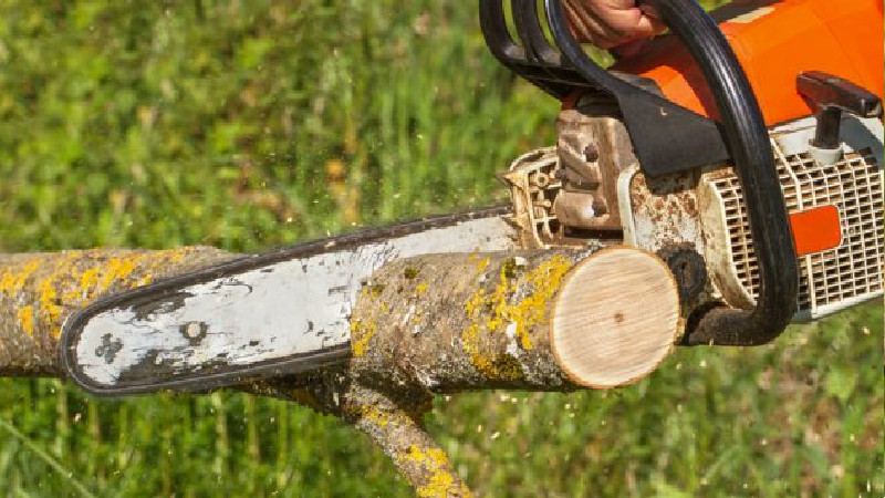 TREE REMOVAL IN MARIETTA GA REQUIRES THE SKILLS OF PROFESSIONALS
