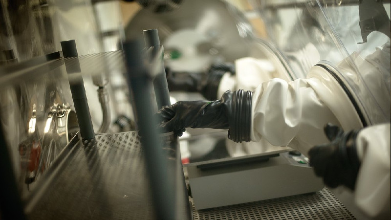 Tips for Improving Antibody Production From Hybridoma Cells