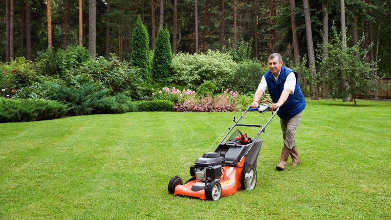 Lawn Service in Lansing, MI Can Give Your Landscaping New Life