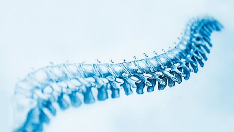 Spinal Decompression Therapy for Chronic Back Pain in Irvine: How It Works