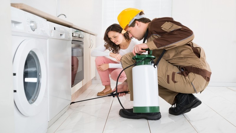 What to Expect from Residential Pest Control in Peachtree City, GA