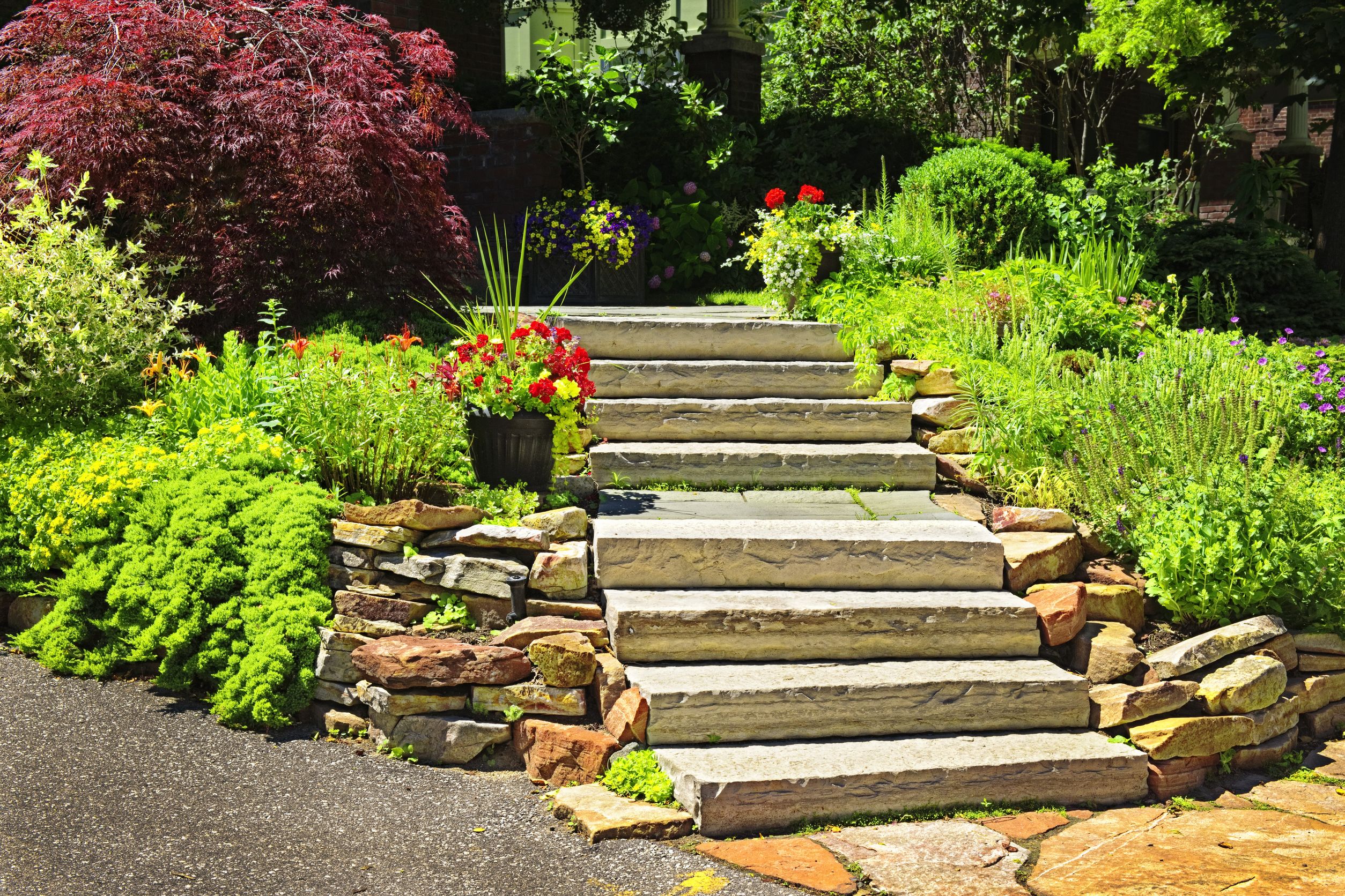 Reasons to Hire a Professional Landscape Service Near Maryland