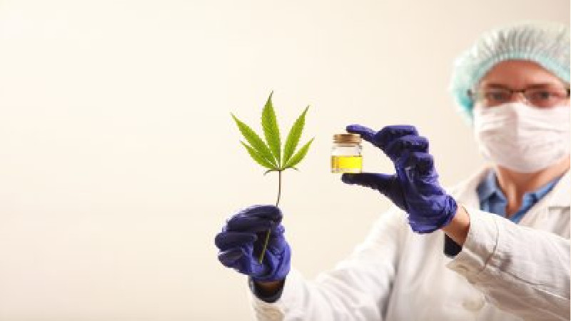 What to Look For in an Asheville, North Carolina CBD Store Selling Gummies
