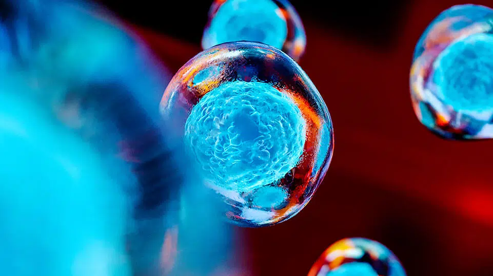 The Benefits of Stem Cell Therapy in Peachtree City