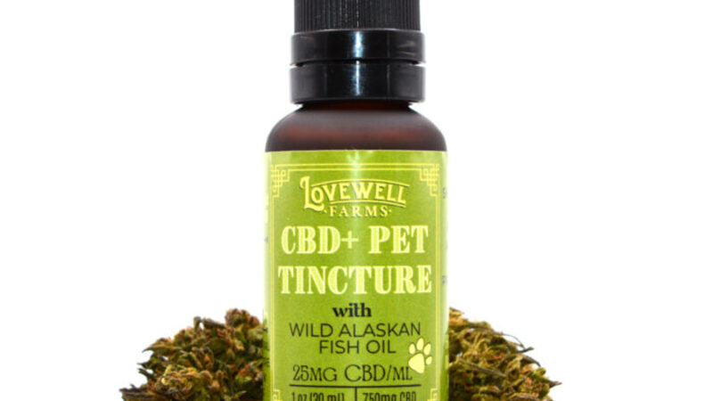 The Benefits of CBD Oil Tincture for Pets – As Good As It Is for Humans