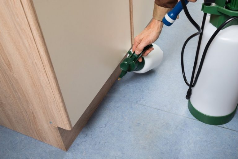 Solutions for Peaceful Living With Home Pest Control in Newnan, GA Residents Can Trust