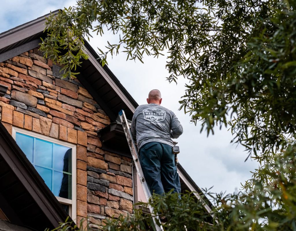 Hire Experts to Take Care of Raccoon Removal in Newnan, GA, Today