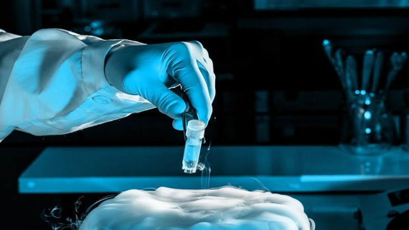 Tips for Traveling While on Treatment from a Fertility Specialist Doctor in Orange County, CA