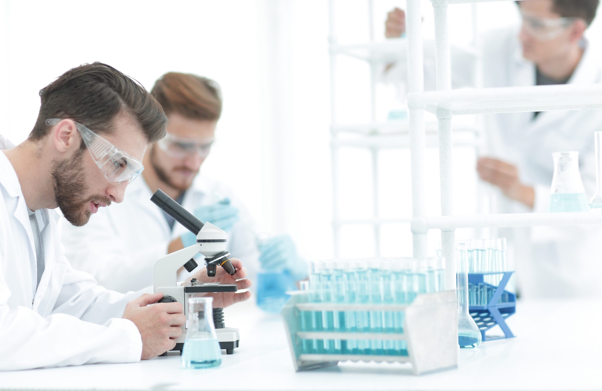 What You Need to Know About the Five-Panel Urine Test