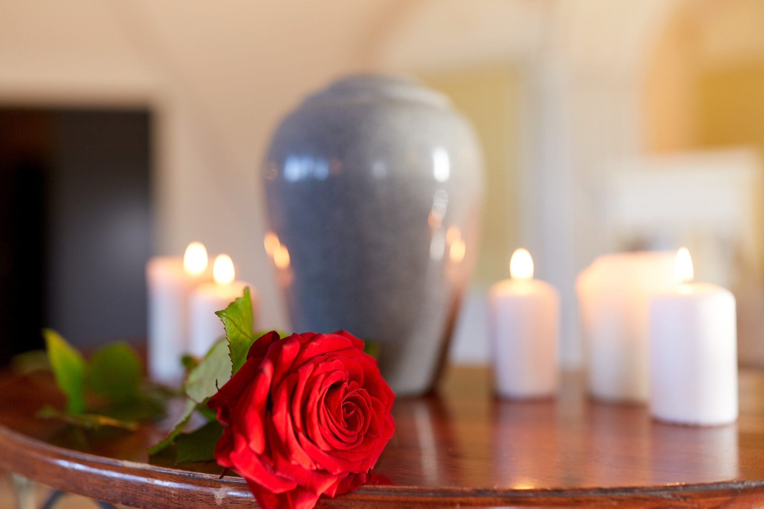 Compassionate Memorial Solutions Offered by a Professional Cremation Company in Brownstown