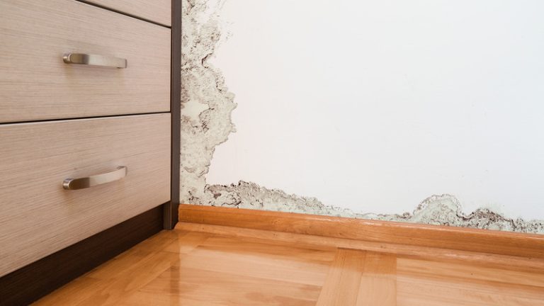 Professional Water Damage Repair In Carmel IN