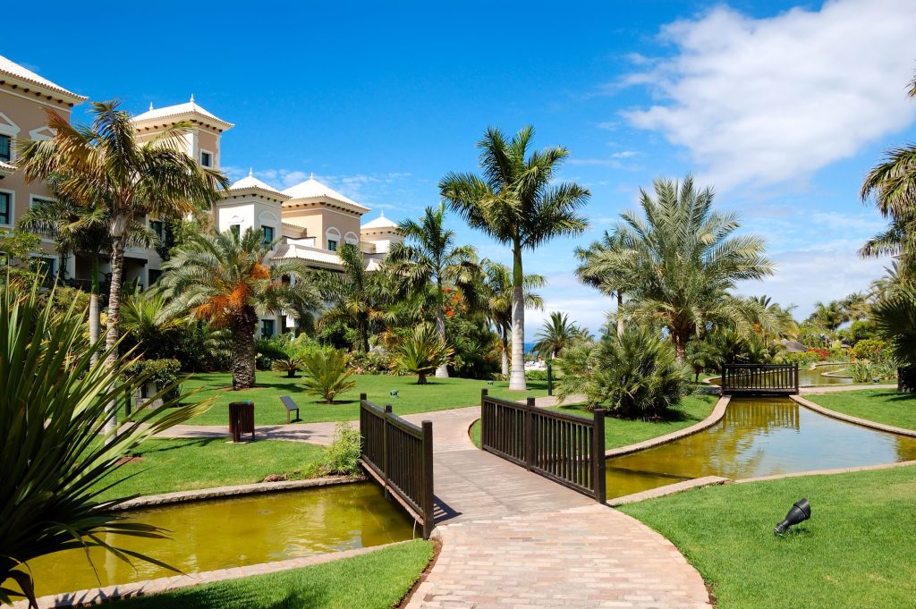Visit the Greatest Rocky Point Resorts to Relax in Style