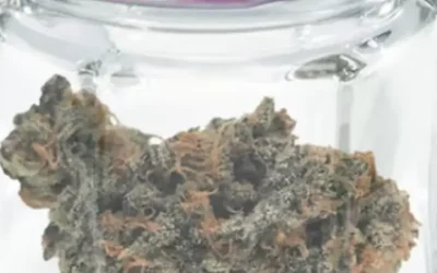 Your Guide to the Best Dispensary in Spokane, WA: Expert Advice