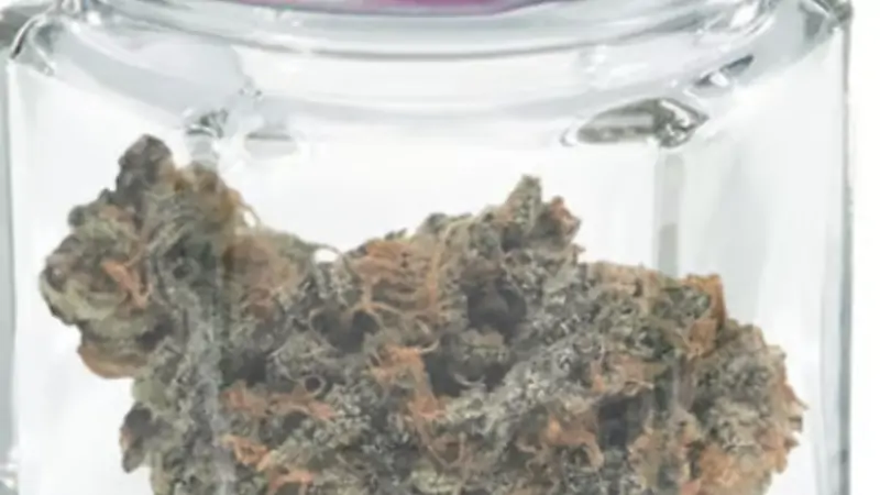 Your Guide to the Best Dispensary in Spokane, WA: Expert Advice