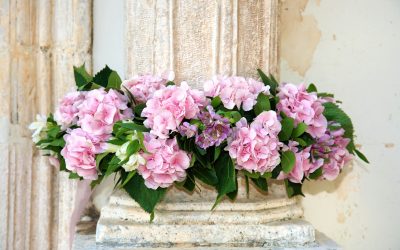 Flower Delivery in Blaine, MN: A Perfect Way to Celebrate Life’s Special Events