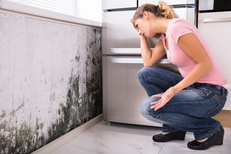 Why Mold Testing in Boulder, CO is Key to Protecting Your Home