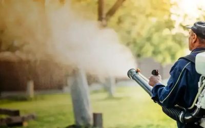 How to Effectively Implement Treatment for Fleas and Ticks in Yard Charlestown IN