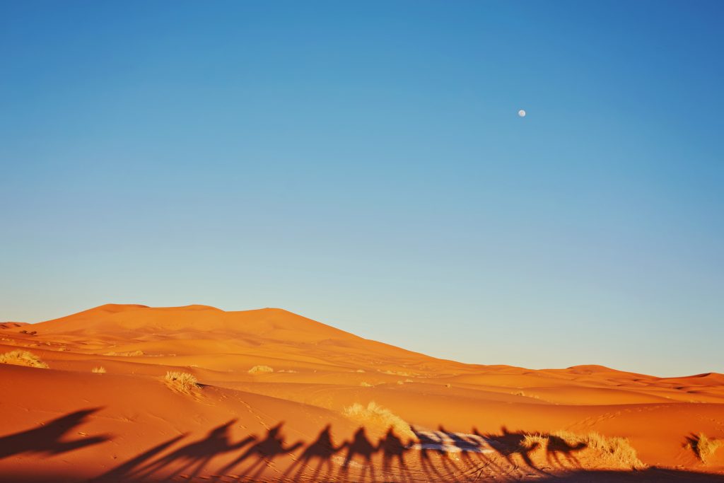 A Trip Through Morocco’s Greatest Landscapes: An Unforgettable 3-Day Tour From Fes to Marrakech